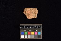 藏品(陶片)的圖片