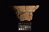 藏品(陶罐)的圖片