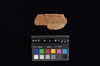 藏品(陶罐)的圖片