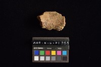 藏品(陶罐)的圖片