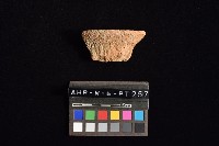 藏品(陶罐)的圖片