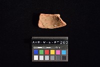 藏品(陶片)的圖片
