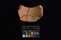 藏品(陶片)的圖片