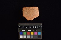 藏品(陶片)的圖片