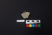 藏品(硬陶片)的圖片