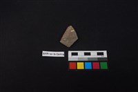 藏品(硬陶片)的圖片