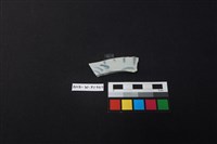 藏品(瓷盤)的圖片