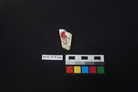 藏品(瓷片)的圖片