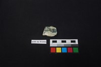 藏品(瓷片)的圖片