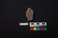 藏品(硬陶片)的圖片