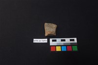 藏品(硬陶片)的圖片