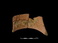 藏品(陶罐)的圖片