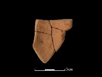 藏品(陶片)的圖片