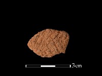 藏品(陶片)的圖片