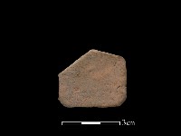 藏品(陶片)的圖片