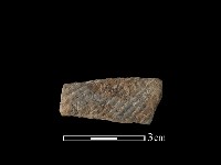 藏品(陶片)的圖片