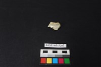 藏品(瓷片)的圖片