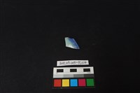 藏品(瓷片)的圖片