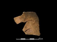 藏品(陶片)的圖片