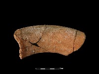 藏品(陶罐)的圖片