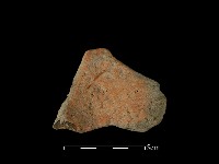 藏品(陶片)的圖片