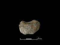 藏品(陶片)的圖片