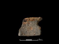 藏品(陶片)的圖片