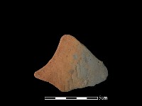 藏品(連杯形器)的圖片