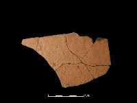 藏品(陶片)的圖片