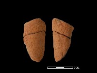 藏品(陶把)的圖片