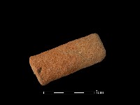 藏品(陶把)的圖片