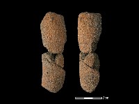 藏品(鼎足)的圖片