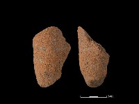 藏品(鼎足)的圖片