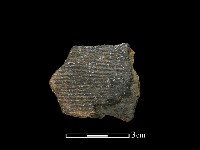 藏品(陶片)的圖片