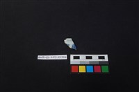 藏品(瓷片)的圖片