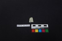 藏品(瓷片)的圖片