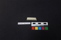 藏品(瓷片)的圖片