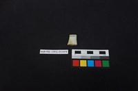 藏品(瓷片)的圖片