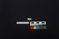 藏品(瓷片)的圖片