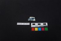 藏品(瓷片)的圖片