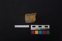 藏品(陶片)的圖片