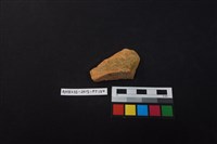 藏品(陶片)的圖片