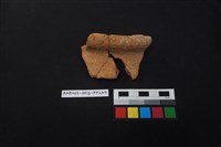 藏品(陶片)的圖片