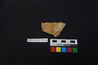 藏品(陶片)的圖片