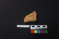 藏品(陶片)的圖片