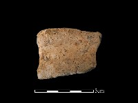 藏品(陶罐)的圖片