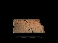 藏品(陶片)的圖片