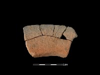 藏品(連杯形器)的圖片