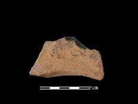 藏品(連杯形器)的圖片