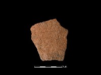 藏品(陶片)的圖片